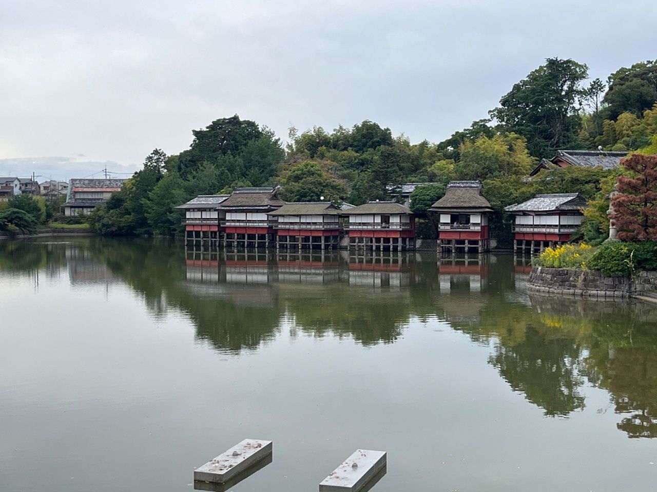 【長岡京市】長岡天満宮と八条ヶ池。次は霧島躑躅の開花時期に来てみたい。