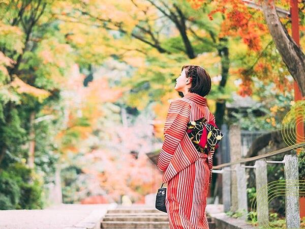 休みの日は、いつも京都を散策しています♪